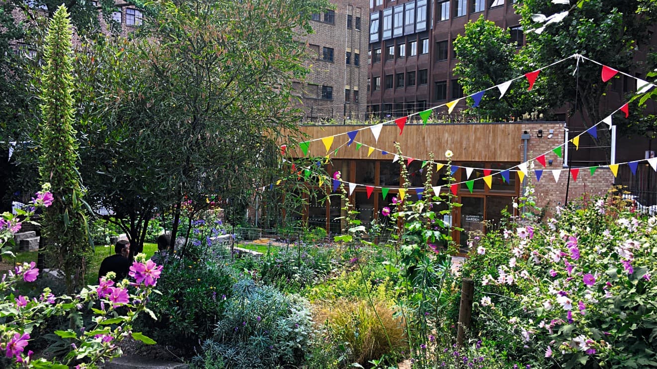Lunchtime at The Phoenix Garden