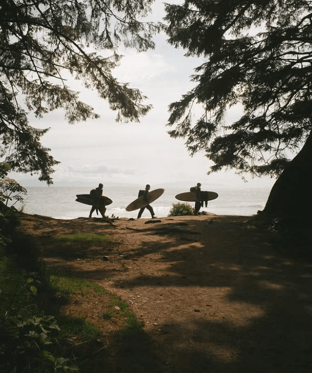 The Sustainable Surf Brand