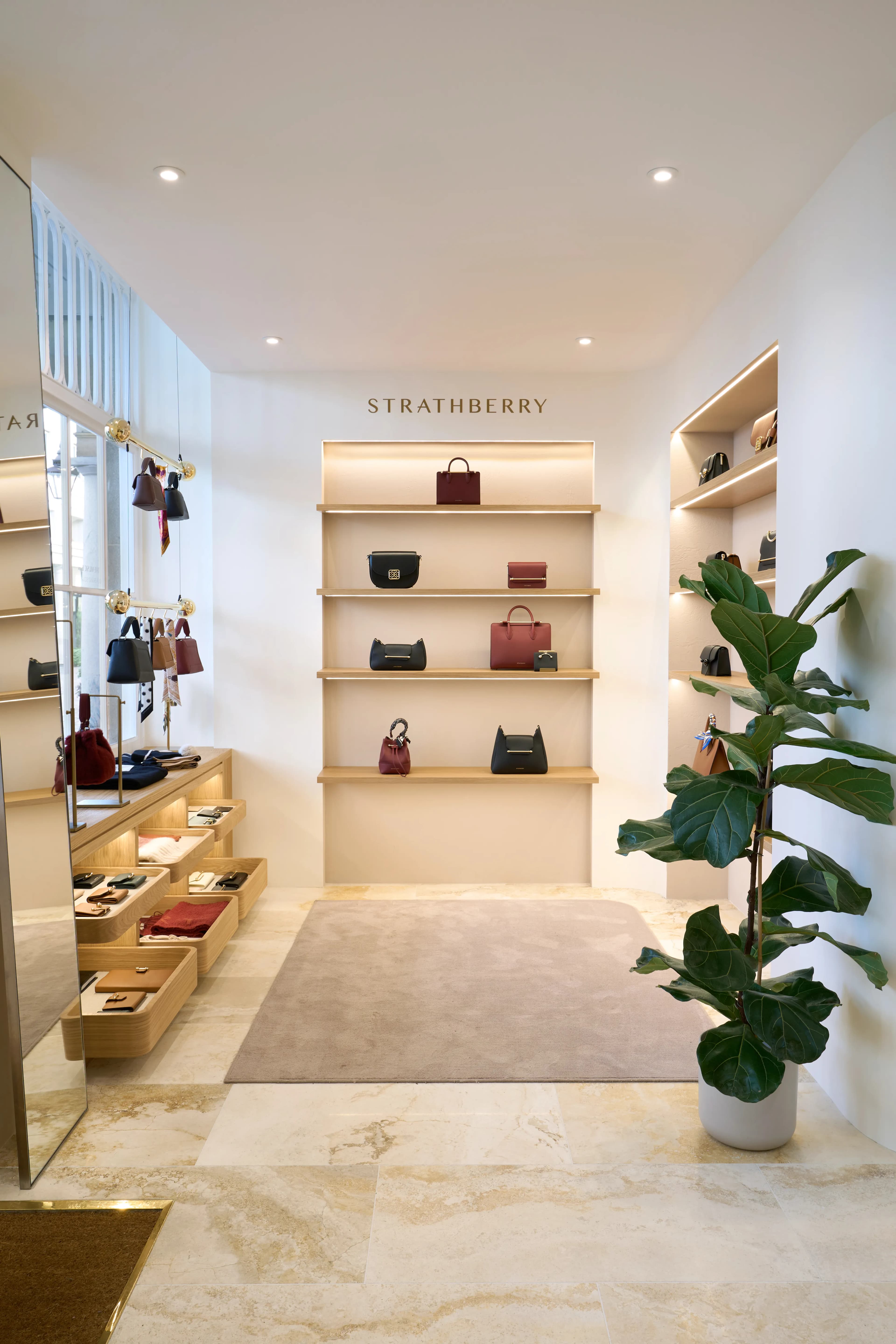 Upgrade Your Everyday